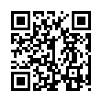 QR CODE 329