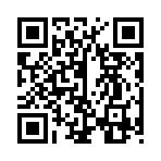 QR CODE 336