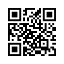 QR CODE 110