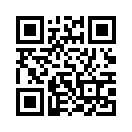 QR CODE 133