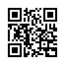 QR CODE 110