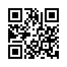 QR CODE 131