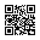 QR CODE 133