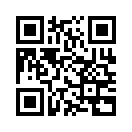 QR CODE 309