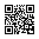 QR CODE 31