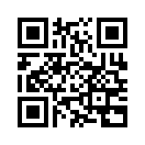 QR CODE 317