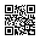 QR CODE 329