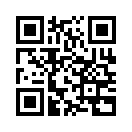 QR CODE 344