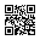 QR CODE 501