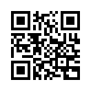 QR CODE 537