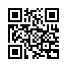 QR CODE 737