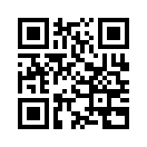 QR CODE 868