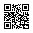 QR CODE 950