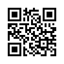 QR CODE 133