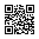 QR CODE 81