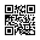 QR CODE 30