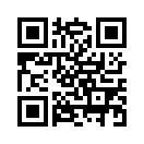QR CODE 299