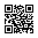 QR CODE 377