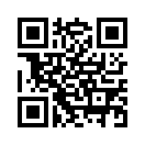 QR CODE 383