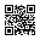 QR CODE 389