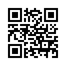 QR CODE 395