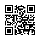 QR CODE 411