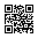 QR CODE 419