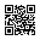 QR CODE 433