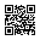QR CODE 447