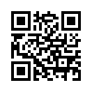 QR CODE 461