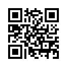 QR CODE 481