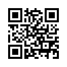 QR CODE 486