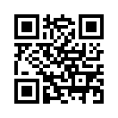 QR CODE 487
