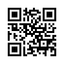 QR CODE 489