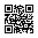 QR CODE 490