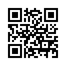 QR CODE 491