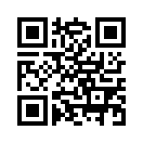 QR CODE 493