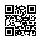QR CODE 494