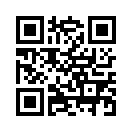 QR CODE 495