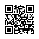 QR CODE 498