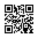 QR CODE 13