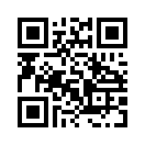 QR CODE 216