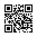 QR CODE 245