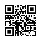 QR CODE 305