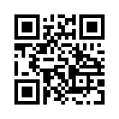 QR CODE 329