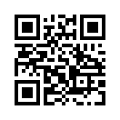 QR CODE 336