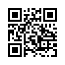 QR CODE 344