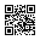 QR CODE 419