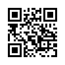 QR CODE 494