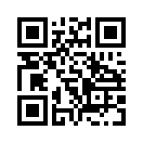 QR CODE 501